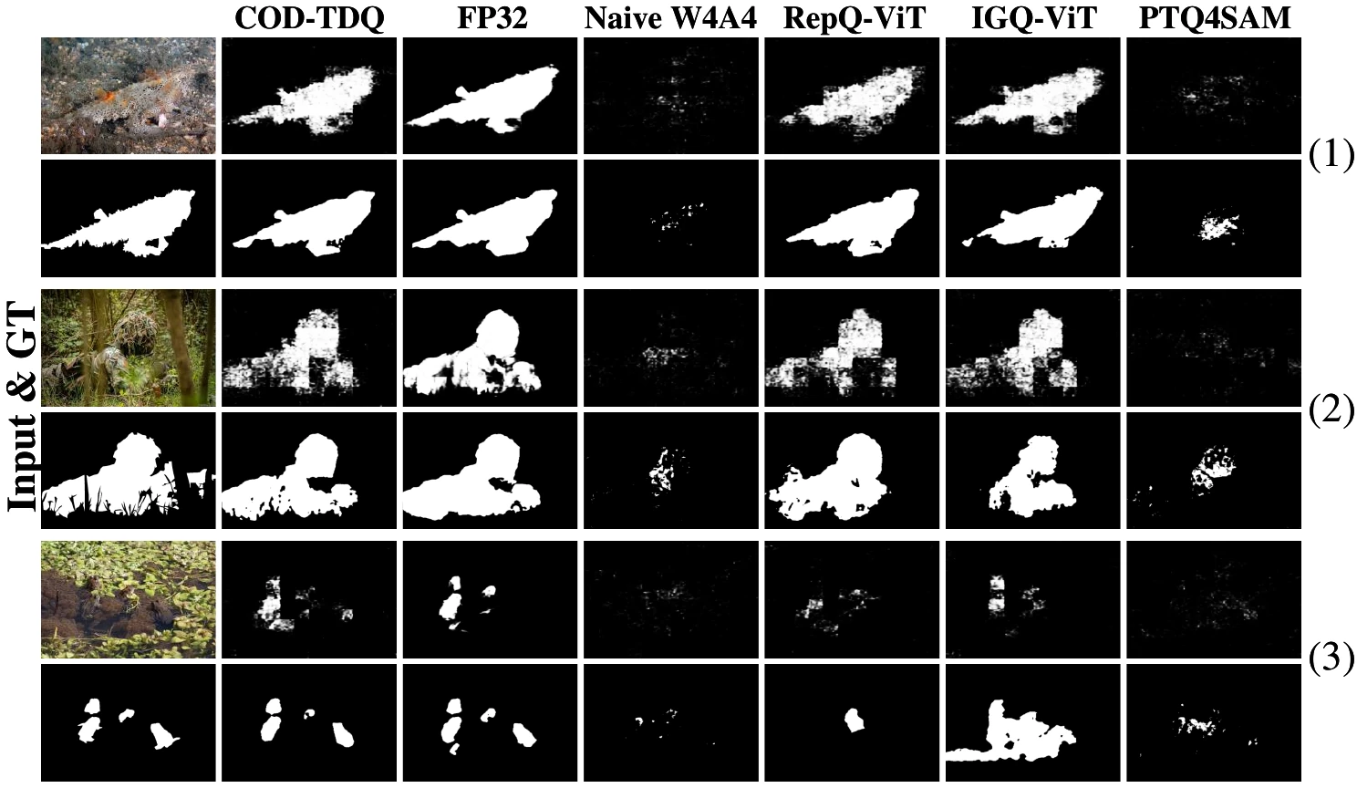 Three challenging camouflaged scenes with ground truth and predictions from COD-TDQ, FP32, naive W4A4, RepQ-ViT, IGQ-ViT and PTQ4SAM